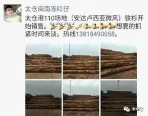 精品木材銷售信息 履約思源，不忘初心